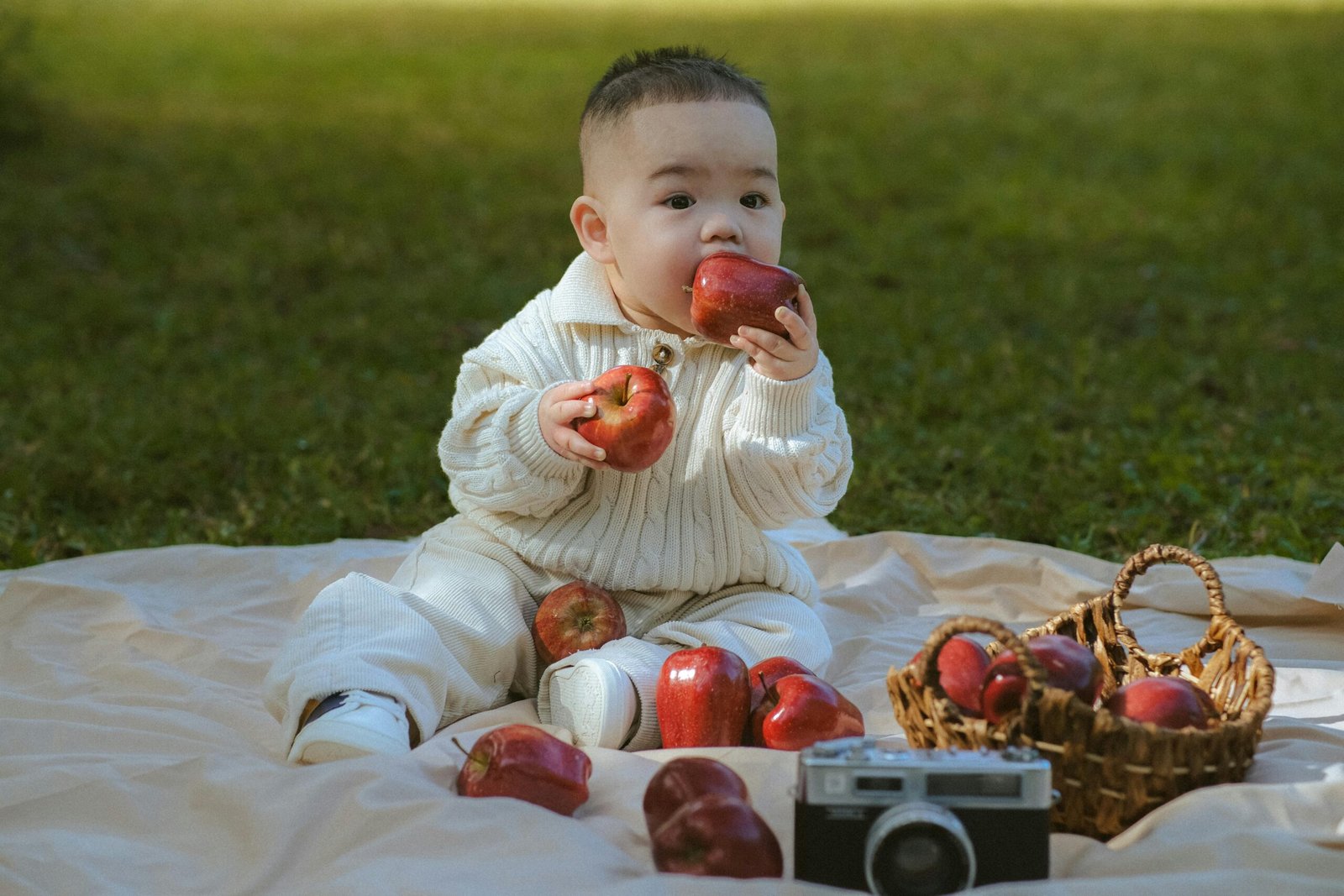 Bebê sentado em piquenique ao ar livre segurando maçã, representando alimentação saudável e natural para bebês e crianças.